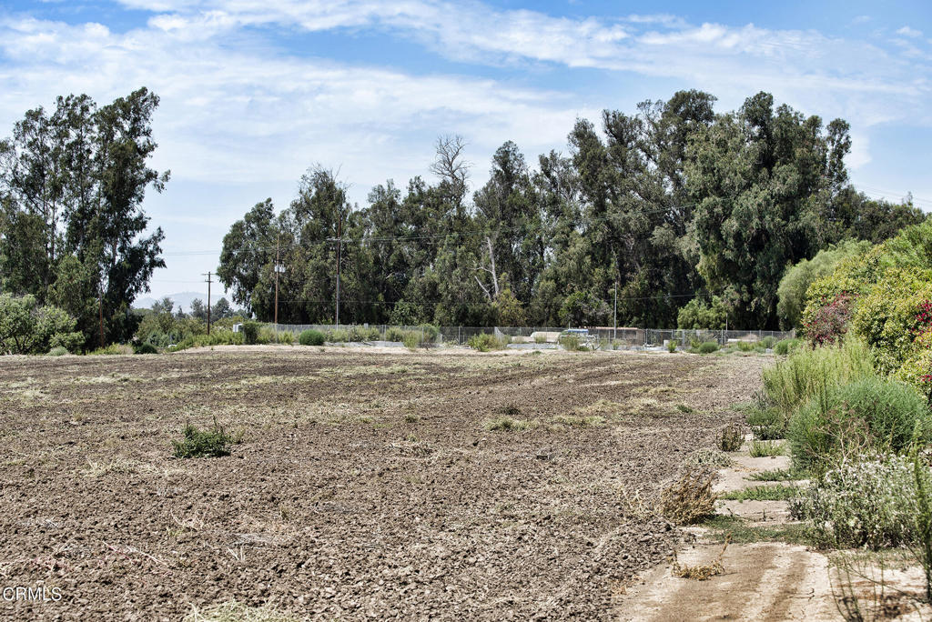 Las Posas Estates: Other - 0043 - Land