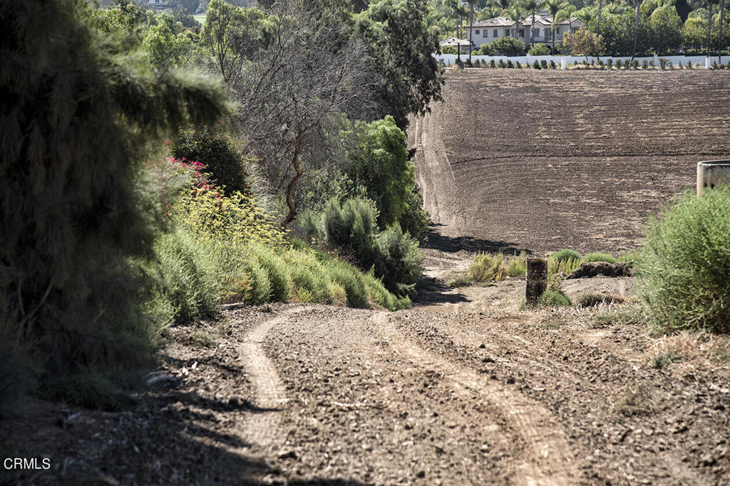 Las Posas Estates: Other - 0043 - Land