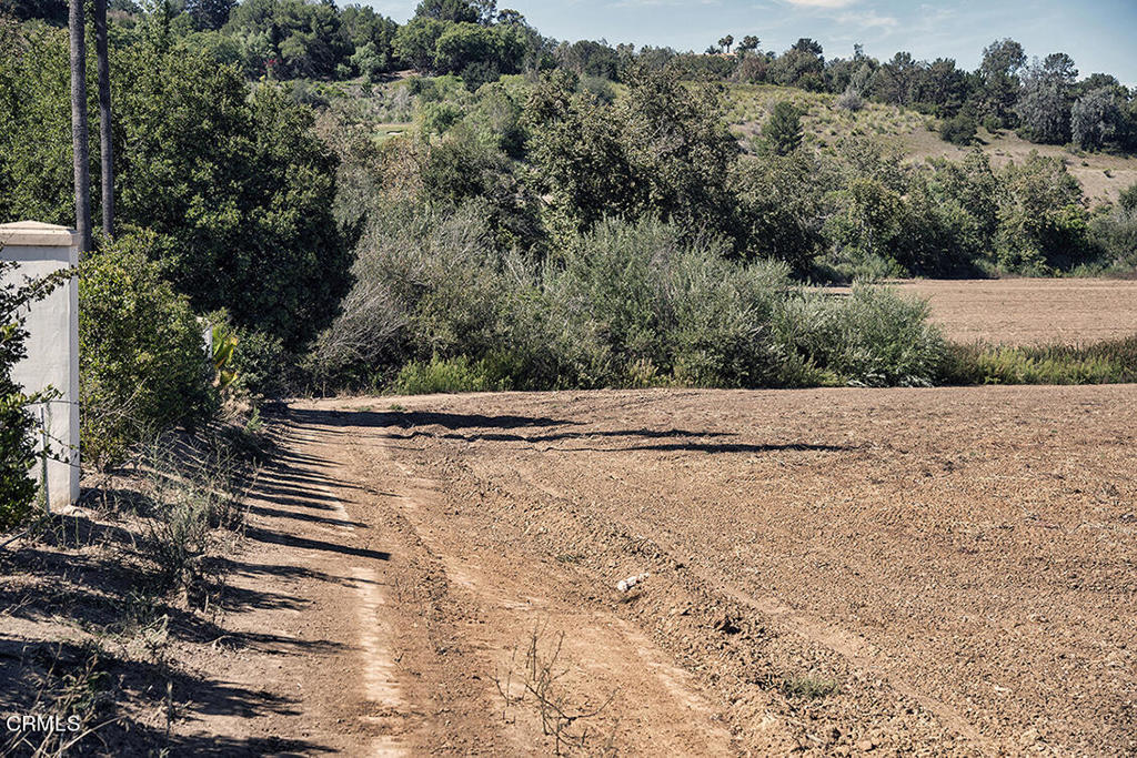 Las Posas Estates: Other - 0043 - Land