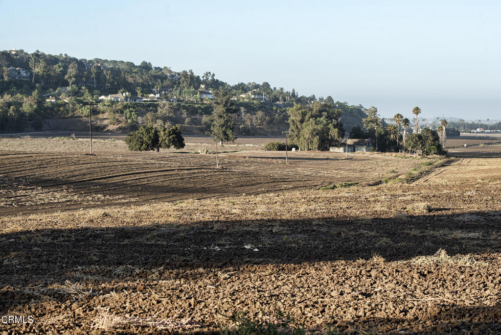 Las Posas Estates: Other - 0043 - Land