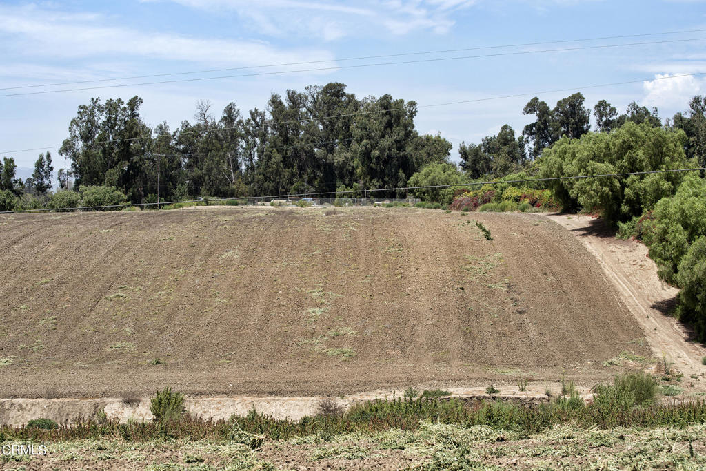 Las Posas Estates: Other - 0043 - Land