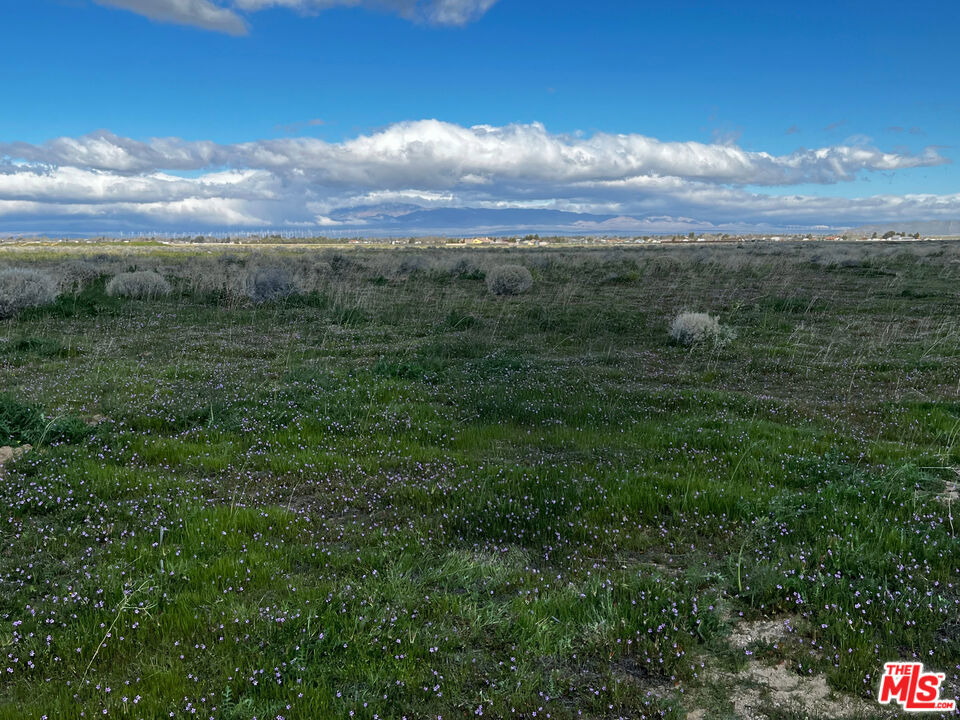 75 street W Vac/vic Ave G Avenue F12/75 STW