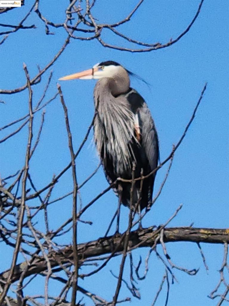 OAKLEY - Residential