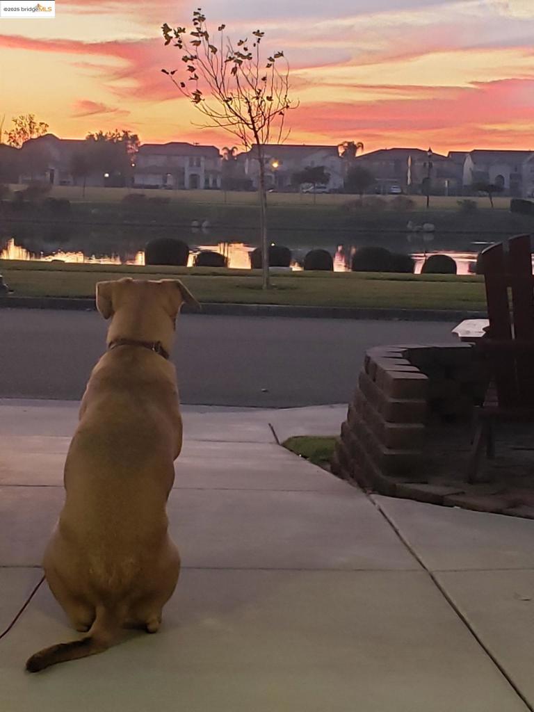 OAKLEY - Residential