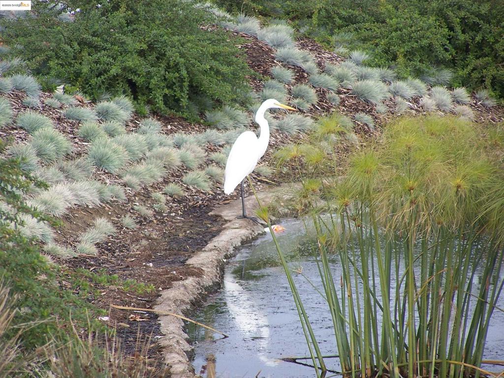 OAKLEY - Residential