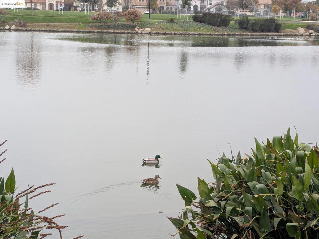 OAKLEY - Residential