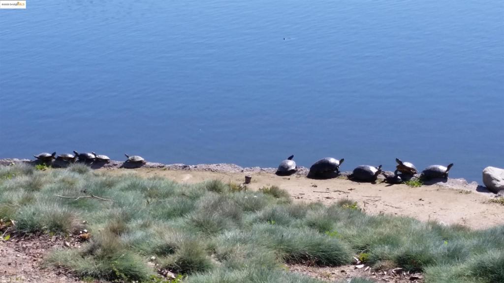 OAKLEY - Residential