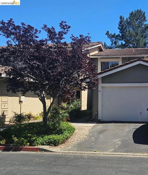 Photo of 47 Turtle Creek St ST, Oakland, CA 94605 (MLS # 41134645)