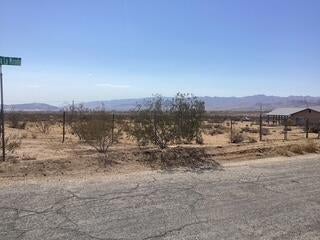 Photo of 4541 Avenida La Mirada, Joshua Tree, CA 92252 (MLS # 219151608DA)