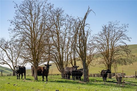 Tiny photo for 3160 Gillis Canyon Road, Shandon, CA 93461 (MLS # NS22033159)