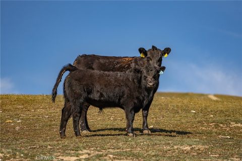 Tiny photo for 3160 Gillis Canyon Road, Shandon, CA 93461 (MLS # NS22033159)