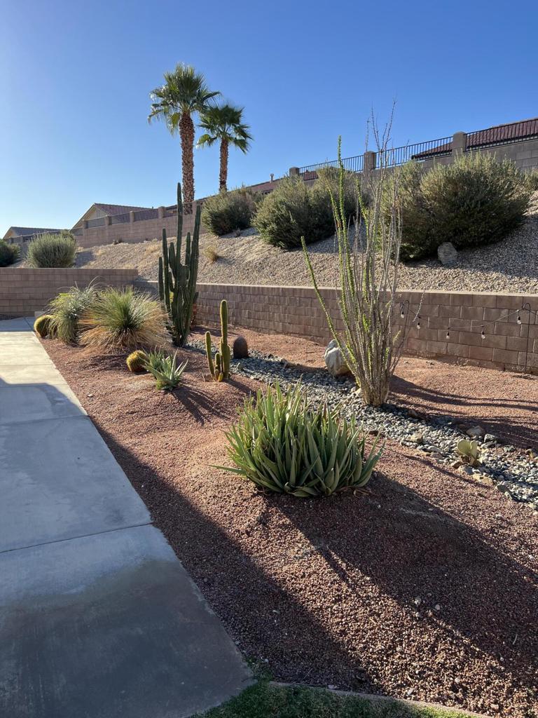 Paradise Springs - Residential