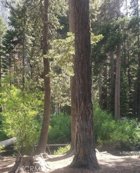 Beautiful lot available in the heart of Crestline, CA, just minutes from Lake Gregory and all the charm of mountain living. This spacious parcel (APN: 0339-161-01) is surrounded by towering pine and cedar trees, offering a serene forest atmosphere with paved road access and utilities nearby. Located in a well-established neighborhood, this lot is just a short drive to Lake Gregory Regional Park, where you can enjoy swimming, fishing, kayaking, water slides, hiking trails, and weekend events. Crestline Village is close by, featuring local shops, restaurants, coffee houses, a grocery store, and seasonal festivals that give this mountain town its unique character. Only about 20 minutes from San Bernardino, this property is ideal for a primary residence, vacation cabin, or investment project. Don’t miss the chance to build your dream in one of Southern California’s most beloved mountain communities.