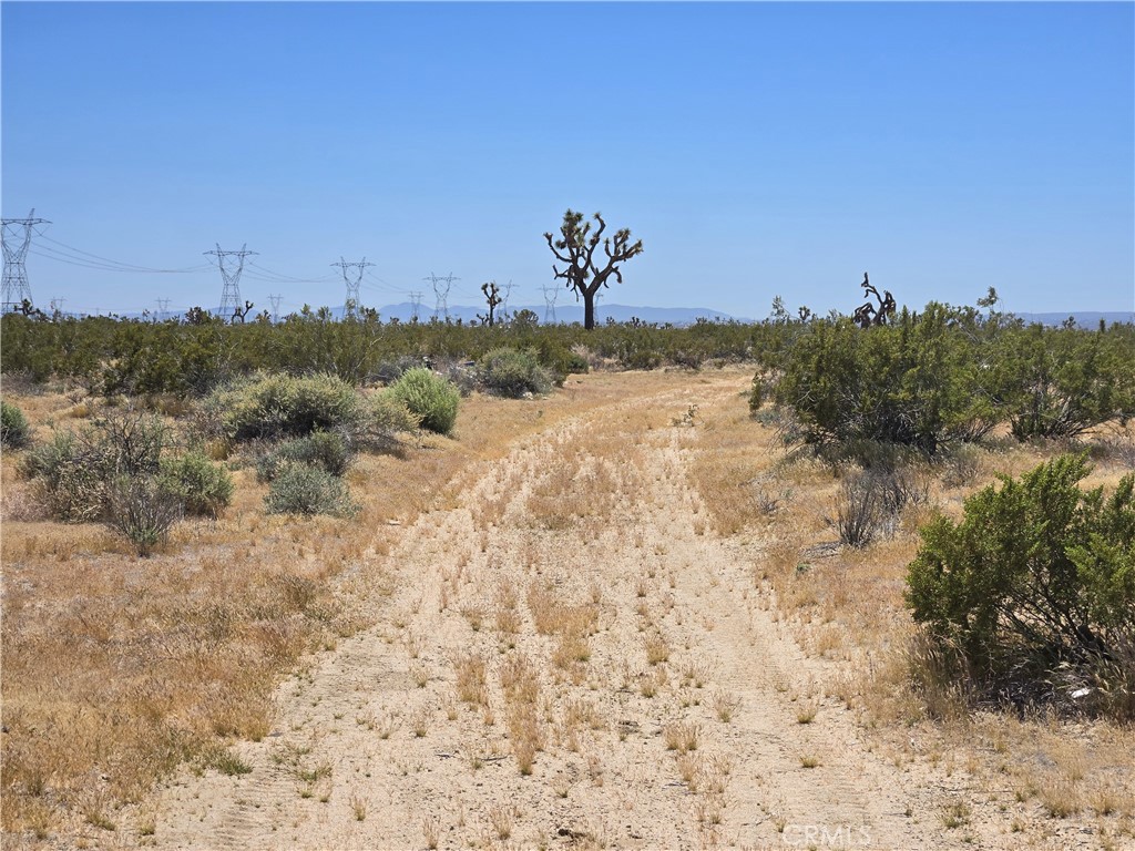 10 Acres Beaver Avenue