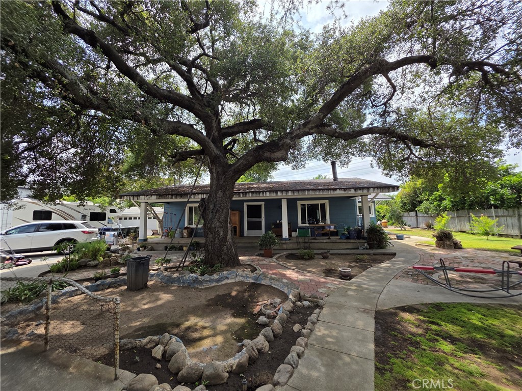 3155 Willard