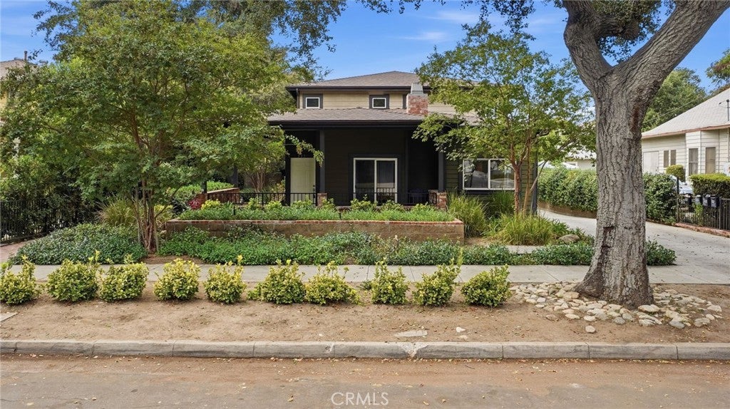 537 Cypress