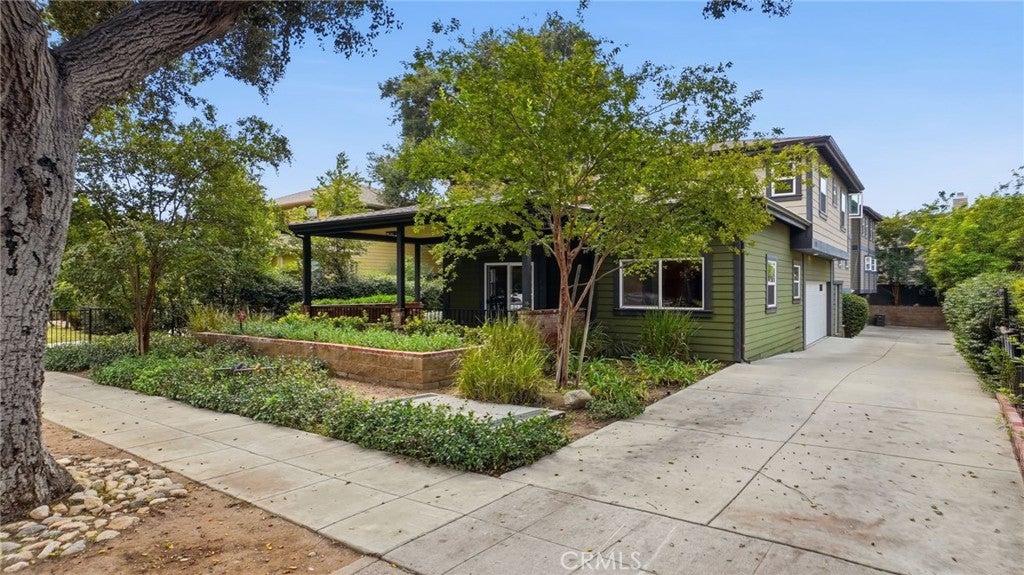 537 Cypress