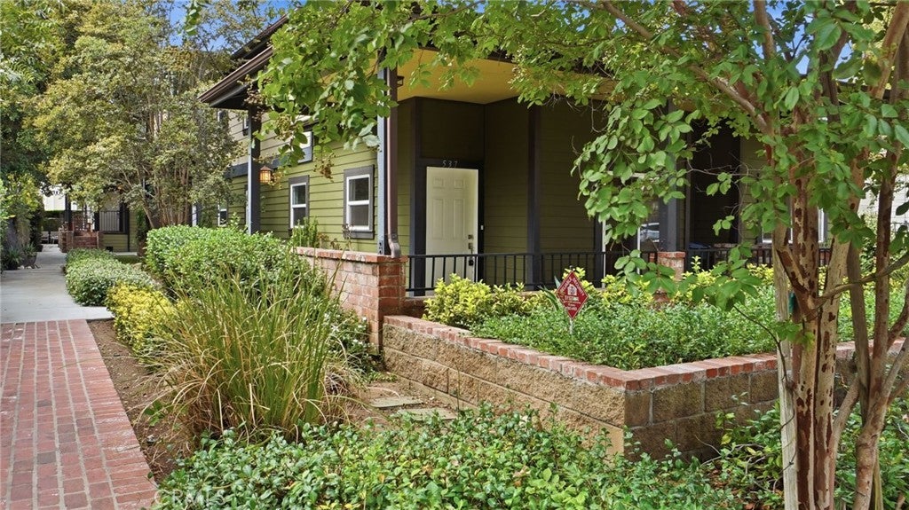 537 Cypress