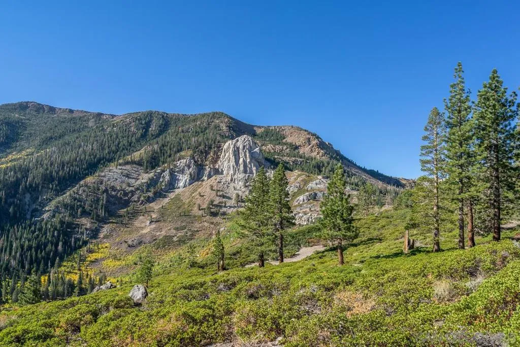 Mammoth Lakes, California 93546, United States, 5 Bedrooms Bedrooms, ,7 BathroomsBathrooms,Residential,Active,74642