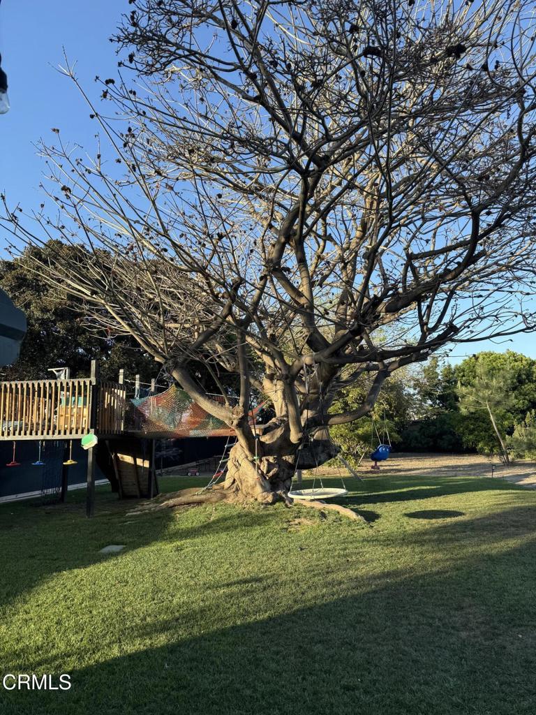 1177 E Collins Street