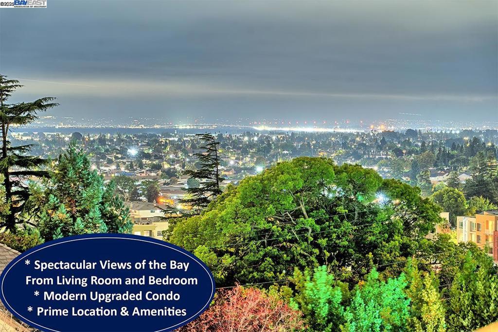 Spectacular Views of the bay on the Hayward Hills! Enjoy magnificent, year-round sweeping views from your private balcony and bedroom in this newly and elegantly remodeled top-floor condo. Nestled in the serene Hayward Hills, just below Garin Regional Park, this home offers modern upgrades and a tranquil lifestyle. Step inside to a brand-new kitchen featuring quartz countertops with a stylish backsplash, stainless-steel sink, and sleek appliances. The spacious bathroom boasts an oversized vanity with quartz counter and new shower doors. Additional highlights include a walk-in closet, recessed lighting, chic light fixtures, luxury laminate flooring, fresh interior paint, new baseboards, and in-unit laundry. Relax on your private covered patio or take advantage of community amenities including a pool, spa, gym, and clubhouse. Outdoor enthusiasts will love the nearby parks with tennis courts and scenic walking trails. Perfectly located just minutes from shops, dining, public transportation, and Cal State East Bay, with easy access to I-580, I-880, the San Mateo Bridge, and BART. No rental restrictions! This stunning home combines comfort, style, and convenience - and it won’t last long!