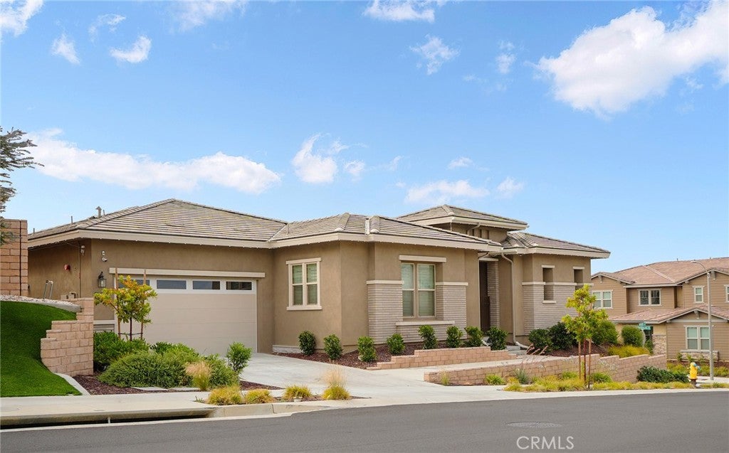32441 Toyon