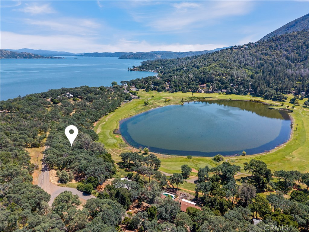 8239 Little Borax Lake Rd