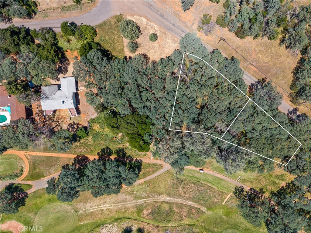 8239 Little Borax Lake Rd