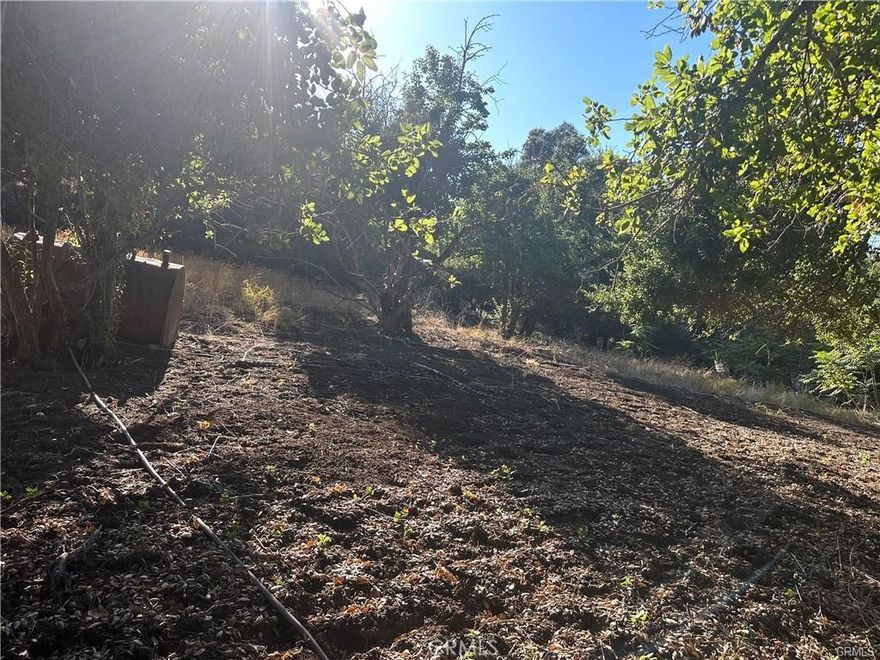 A big slice of Paradise located just north of Malibu.  Large 1.22 acre legacy holding prized and kept for generations from the original Cheney homesteaders in the 1850's.  Multi-zoned.  Complete geotechnical report confirms suitable for single family residence.  Spacious flat area ready for your dream home.  Private artesian well drilled on the property, 175' deep and producing, below ground water table.  Seasonal creek.  Property serviced by Los Angeles County waterworks.  Utilities nearby.  Contact us for more information. Requires court confirmation.