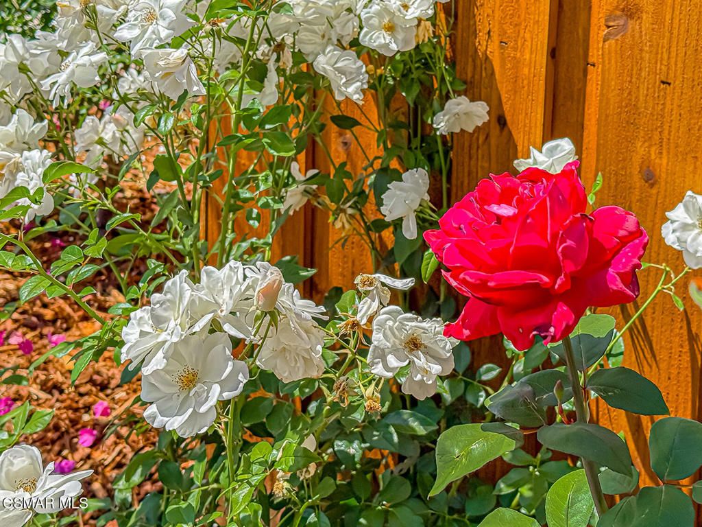 Photo of 2153 Cook Circle, Thousand Oaks, CA 91360 (MLS # 226001798)