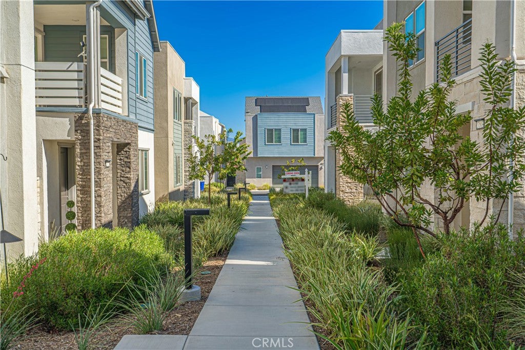 27513 Feathery Cassia