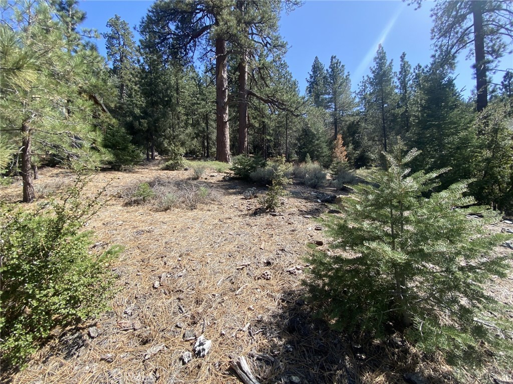 Discover your own private haven with this gorgeous, tree-filled lot in Pine Mountain Club. Nestled away from the street, this property offers the feeling of your very own enchanted forest, surrounded by serene nature and stunning mountain views. Enjoy peace and privacy in a setting that’s perfect for building your dream home or weekend retreat. Located in a rapidly growing community with new development all around, this is a rare opportunity you won’t want to miss.