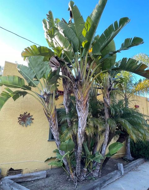 Tiny photo for 121 E Warner St St, Ventura, CA 93001 (MLS # NDP2600298)