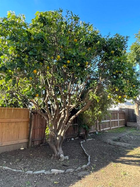 Tiny photo for 121 E Warner St St, Ventura, CA 93001 (MLS # NDP2600298)