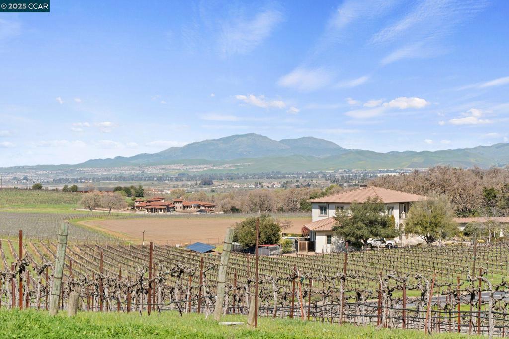 RUBY HILL VINEYA - Residential