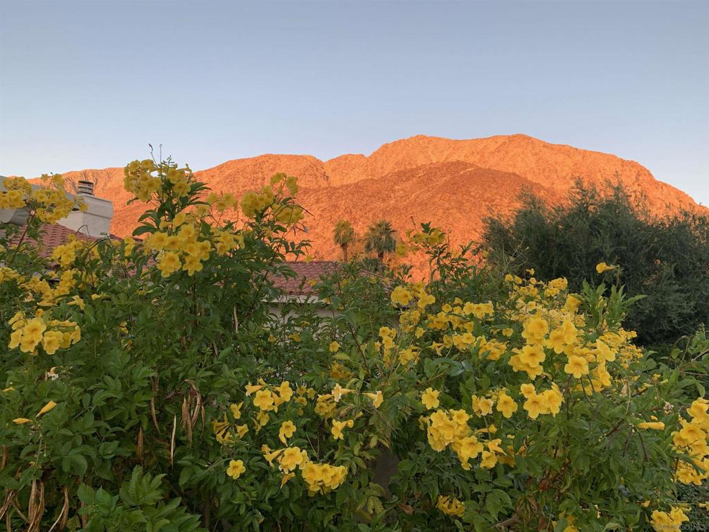 Borrego Springs - Residential
