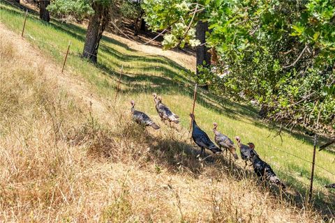 Tiny photo for 0 Los Gatos Road, Atascadero, CA 93422 (MLS # NS26046320)