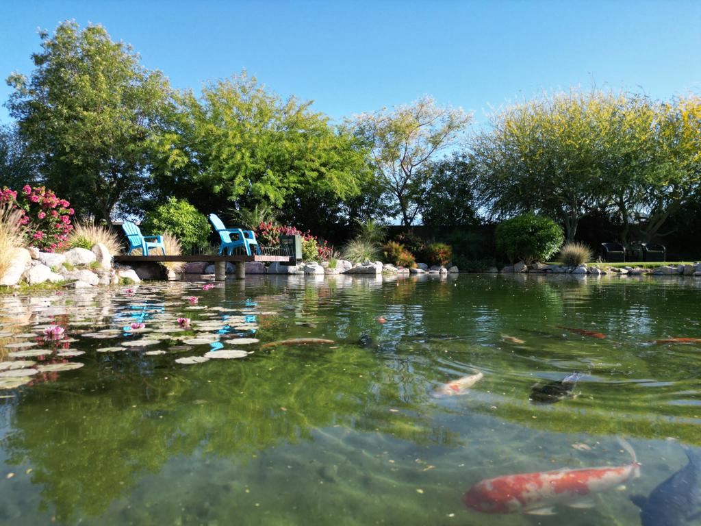 Not Applicable-1 - Residential