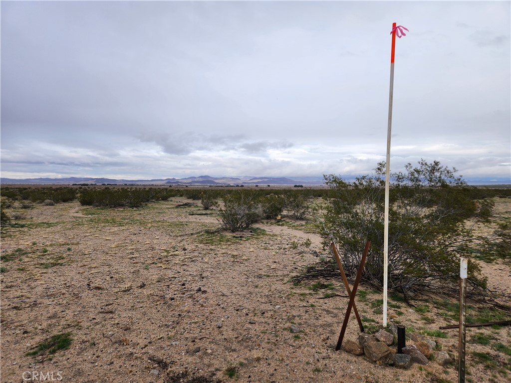 40 Acres (APN: 0529-071-02) GPS: 34.785961, -116.591038 Beautiful 40 Acres just off Center Rd in Newberry Springs, CA. Welcome to our property in San Bernardino County! It's located in the Rural Living zone, where you can enjoy the freedom of spacious 5-acre lots. This means you have the opportunity to subdivide the land into smaller 5-acre parcels if you desire. In this area, you have a wide range of possibilities for land use. Whether you're interested in building a single-family home, setting up a manufactured home, starting a small farm, running a produce stand, or even hosting agritourism activities, the Rural Living zoning has you covered. You can also keep animals, operate a small livestock farm, open a school or place of worship, establish a park or playground, or even run a Bed & Breakfast or residential care facility. With such flexibility and opportunities, this property offers endless possibilities for your dream lifestyle or business venture. Electricity is available along Center Rd, approx 1040 ft west. Plus, residents in the area take care of their water, sewer, and gas needs with private water wells, septic tanks, and propane tanks respectively. So, you can enjoy convenience and independence in managing your utilities on this property. Discover the tranquility of Newberry Springs! Nestled in serene landscapes, this hidden gem offers a peaceful getaway from the hustle and bustle of city life. You'll be captivated by the breathtaking views of the Mojave Desert, with its mesmerizing sunsets and starry nights that draw in stargazers and nature lovers alike. Don't miss the chance to visit the iconic Bagdad Café, a historic roadside attraction that has been featured in movies and is a must-see destination for travelers passing through. With its rustic charm and natural beauty, Newberry Springs provides a serene retreat for those craving an authentic desert experience.