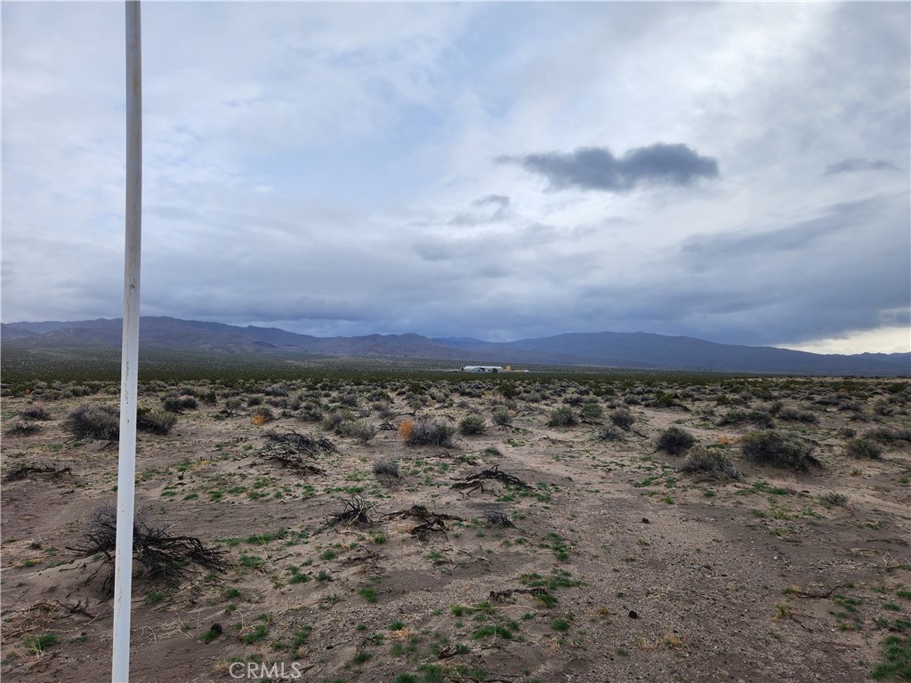 40 AC Near Center Road