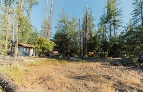 Photo of 10902 Stout Lane, Coulterville, CA 95311 (MLS # MC26108295)