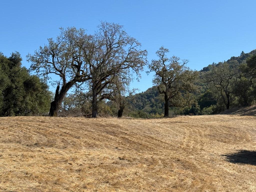 39 Arroyo Sequoia (Lot 114)