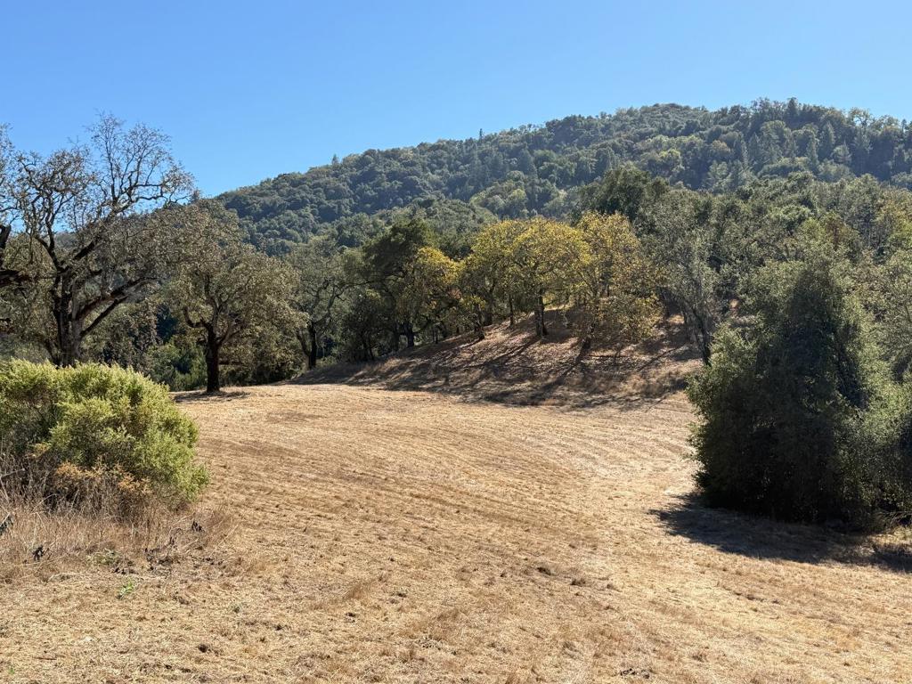 39 Arroyo Sequoia (Lot 114)