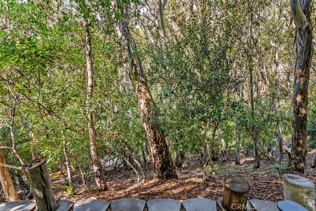 Forest Shadows (FS) - Residential Lease