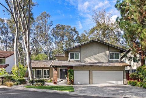 22221 Treeridge Lake Forest CA 92630