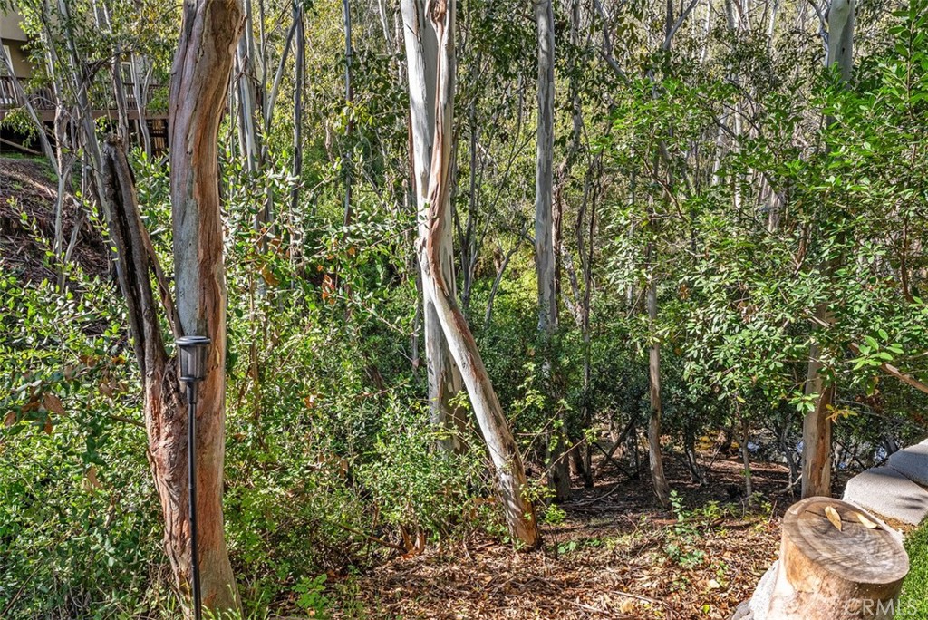 Forest Shadows (FS) - Residential Lease