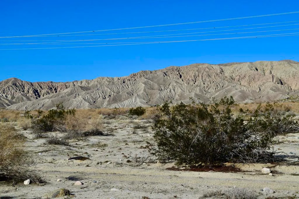 Thousand Palms, California 92276, United States, ,Land,Active,254727