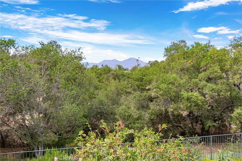 1 Tucson, Coto de Caza CA 92679 - Photo 48