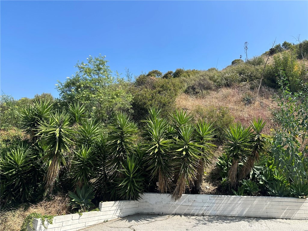 0 LOMA VISTA Street