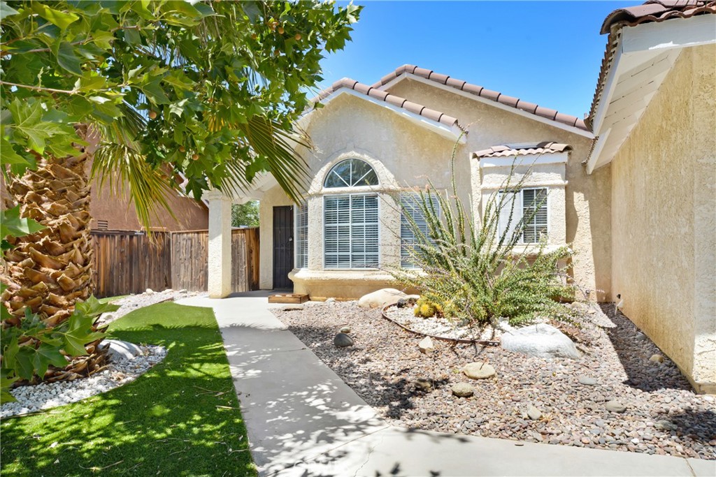 555 Conifer Drive